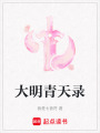 大明青天錄