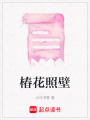 椿花照壁