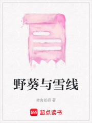 野葵與雪線
