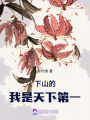 下山的我是天下第一