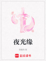 夜光緣
