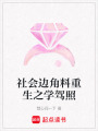 社會邊角料重生之學(xué)駕照