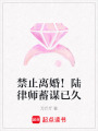 禁止離婚！陸律師蓄謀已久