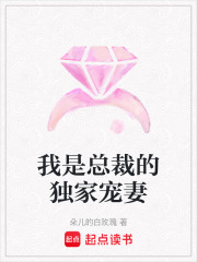 我是總裁的獨家寵妻