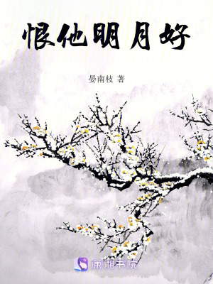 恨他明月好