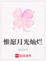 惟愿月光燦爛