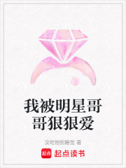 我被明星哥哥狠狠愛