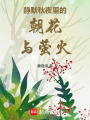 靜默秋夜里的朝花與螢火