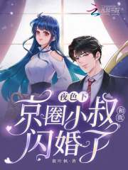夜色下，京圈小叔和我閃婚了！