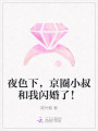 夜色下，京圈小叔和我閃婚了！