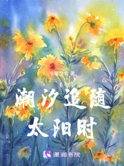 潮汐追隨太陽時