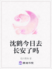 沈鶴今日去長(zhǎng)安了嗎