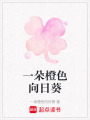 一朵橙色向日葵