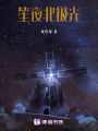 笙夜北極光