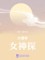 大理寺女神探