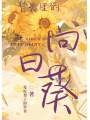 背光里的向日葵