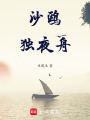 沙鷗，獨夜舟