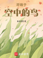 呼喚于空中的鳥(niǎo)