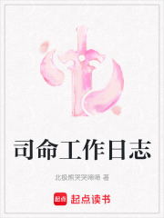 司命工作日志