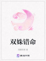 雙姝錯命