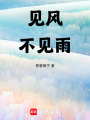 見風不見雨
