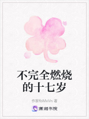 不完全燃燒的十七歲