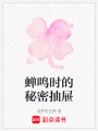蟬鳴時的秘密抽屜