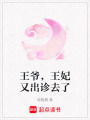 王爺，王妃又出診去了