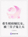 重生相府嫡長女，被三皇子寵上天