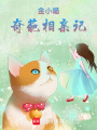金小喵奇葩相親記