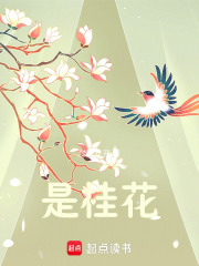 是桂花