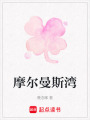摩爾曼斯灣