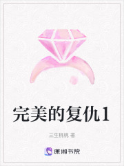 完美的復仇1