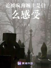 論被瘋狗纏上是什么感受