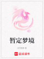 暫定夢境