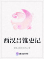 西漢呂錐史記