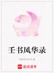 壬書風(fēng)華錄