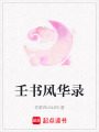 壬書風華錄