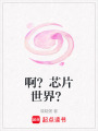 啊？芯片世界？