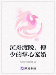 沉舟渡晚，傅少的掌心寵婚