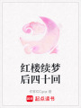 紅樓續(xù)夢后四十回