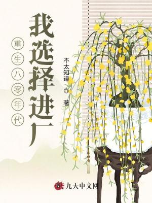 重生八零年代，我選擇進廠