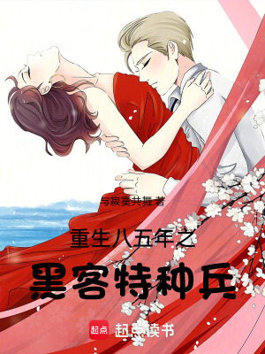 重生八五年之黑客特種兵