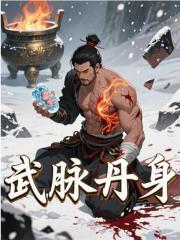 男女主人公姜辰周雨蓉小说武脉丹身在线免费阅读