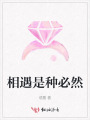 相遇是種必然