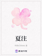 夏注