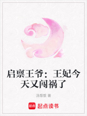 啟稟王爺：王妃今天又闖禍了