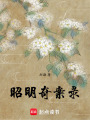 昭明奇案錄