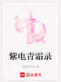 紫電青霜錄