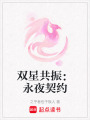 雙星共振：永夜契約